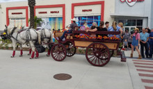 Country Horse Drawn Hay Ride