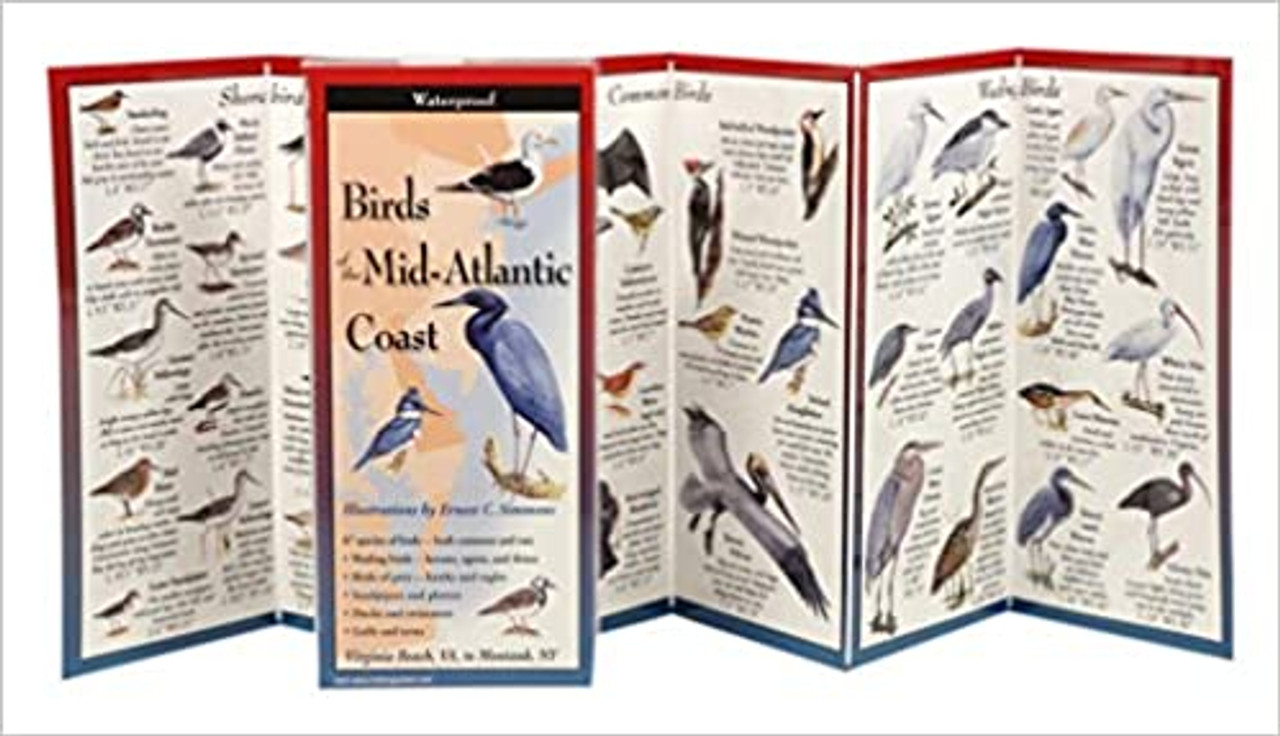 洋書 中部大西洋の鳥類図鑑 Birds of the Mid-Atlantic Smithsonian Handbooks: Birds of the Mid-Atlantic