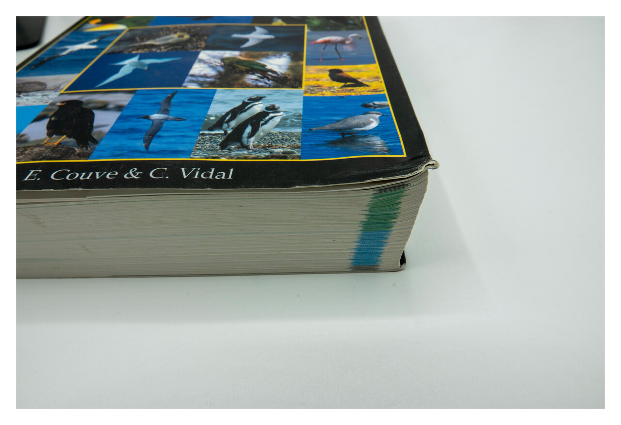 Birds of Patagonia, Tierra del Fuego and Antarctic Peninsula