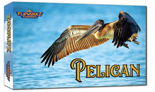 Pelican Flipworkz flip book