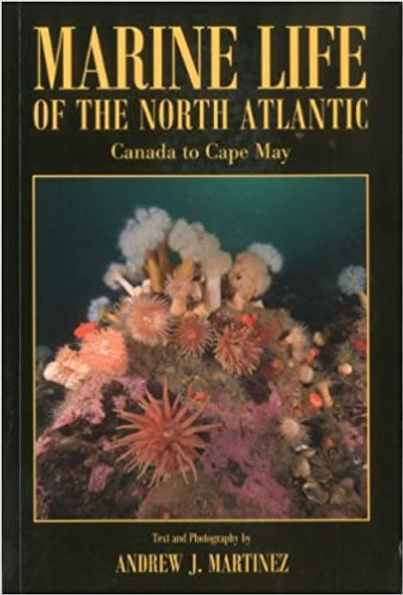 Marine Life of the North Atlantic: Canada to Cape May