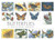 BC CCG Butterflies ABB12