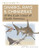 Field Guide to Sharks, Rays and Chimaeras of the East Coast of NA