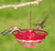 4oz HummZinger feeder with hummingbirds