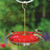 Large feeder with hummingbirds