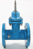 Watts 405-NRS-RW Resilient Wedge Gate Valve 2 1/2"