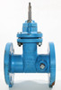 Watts 405-NRS-RW Resilient Wedge Gate Valve 2 1/2"