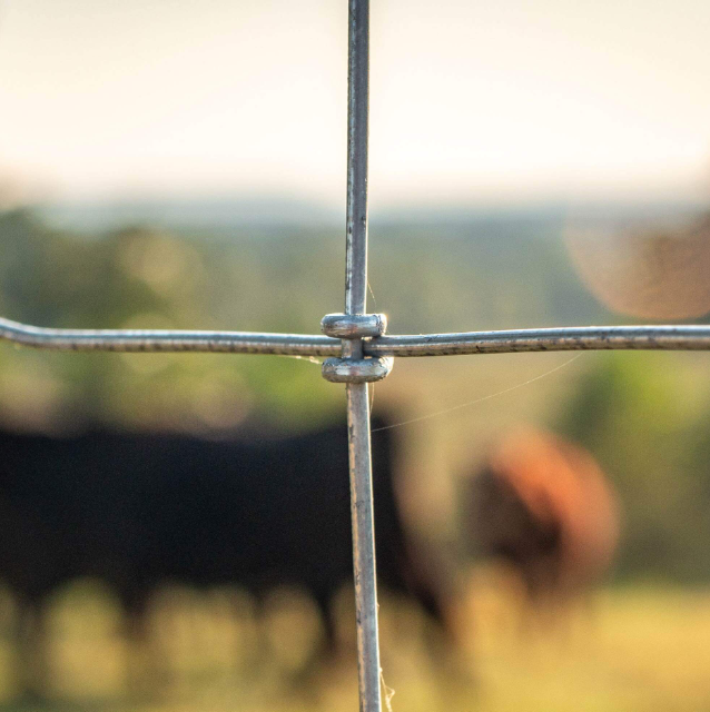 Low Tensile Horse Fence – 48 in x 100 ft 