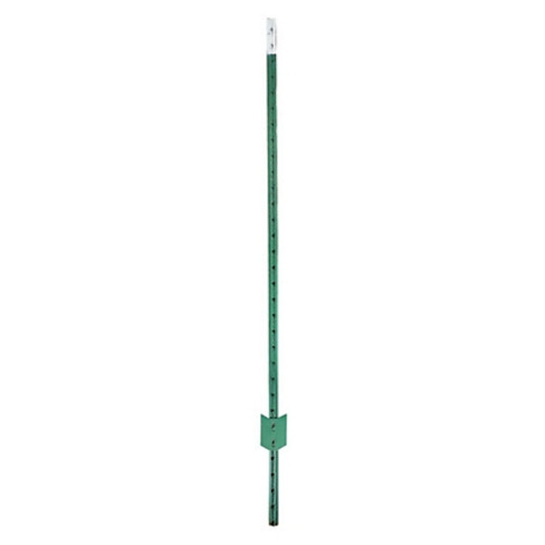 6 ft. Studded Fence T-Post, 1.25 lb./ft.