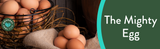 The Mighty Egg!
