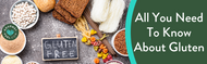 All You Need To Know About Gluten