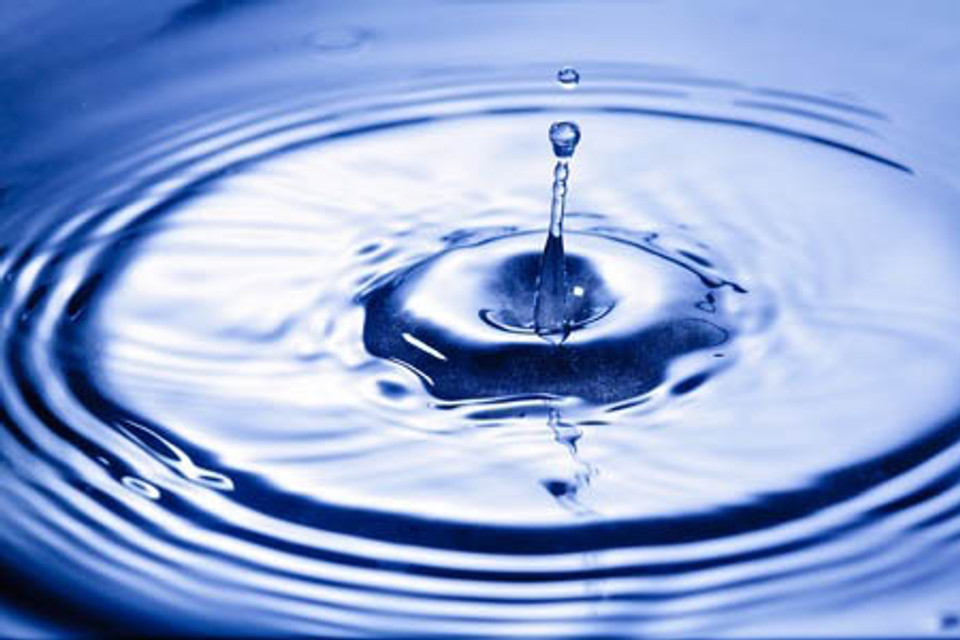 Are You Overlooking Contaminated Water as a “Food Toxin”?