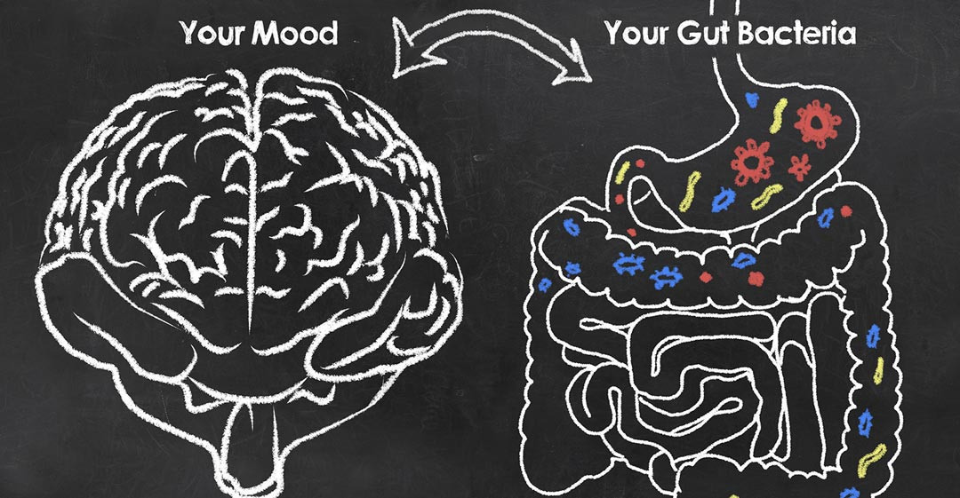 Probiotics, Stress, and Anxiety