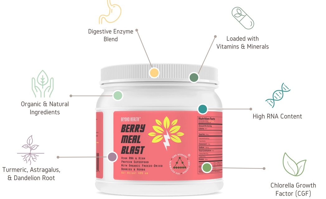 Berry Meal Blast: A Superfood for Total Body Health