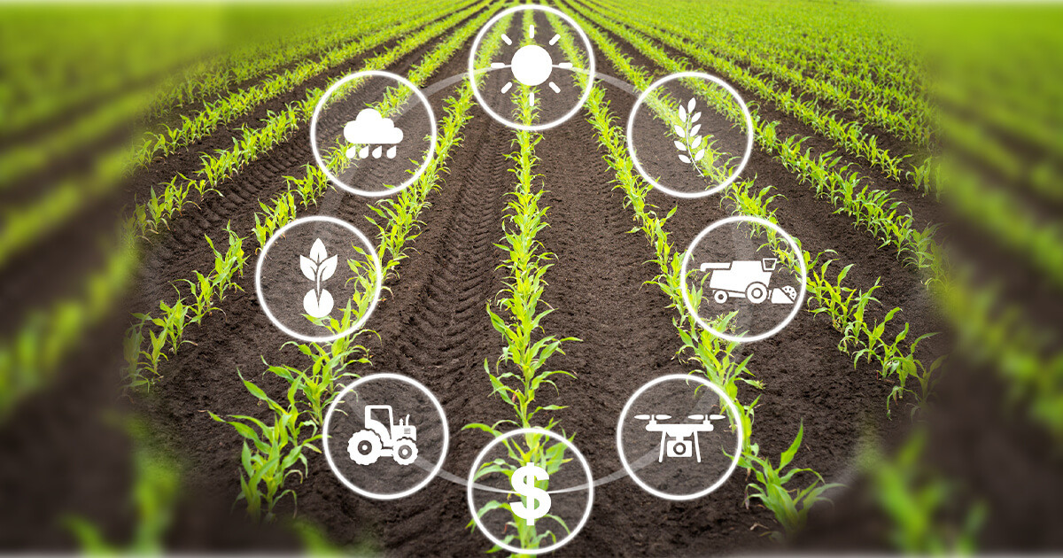 Supplementation Strategies: Enhancing Modern Diets