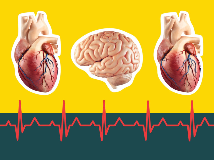 Prevent Heart Attacks and Strokes by Lowering Your Oxidized LDL