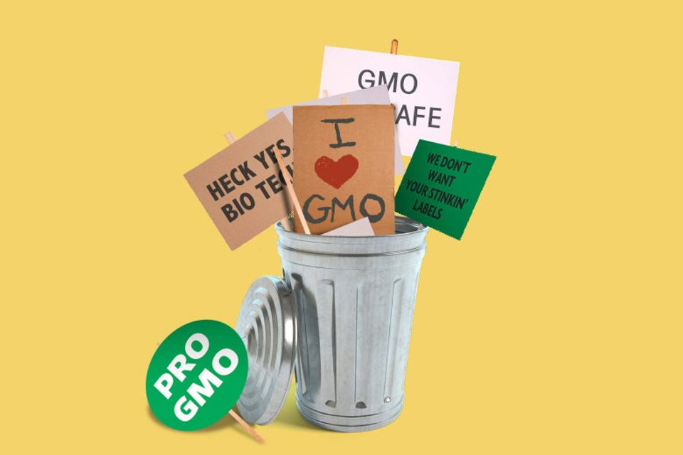 Removing Genetically-Modified Food Helps Many Health Problems