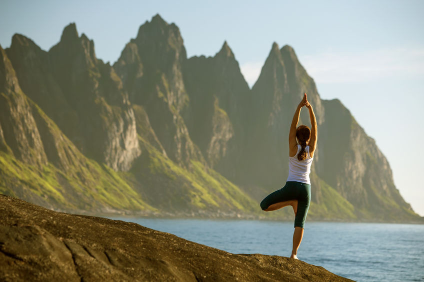 Repair and Revitalize Your Body with Quercetin