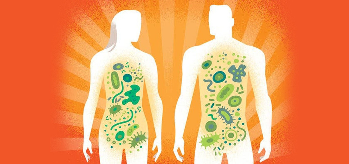 The Multiple Assaults on our Microbiomes