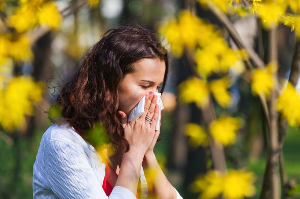 The Shocking Truth About Allergies