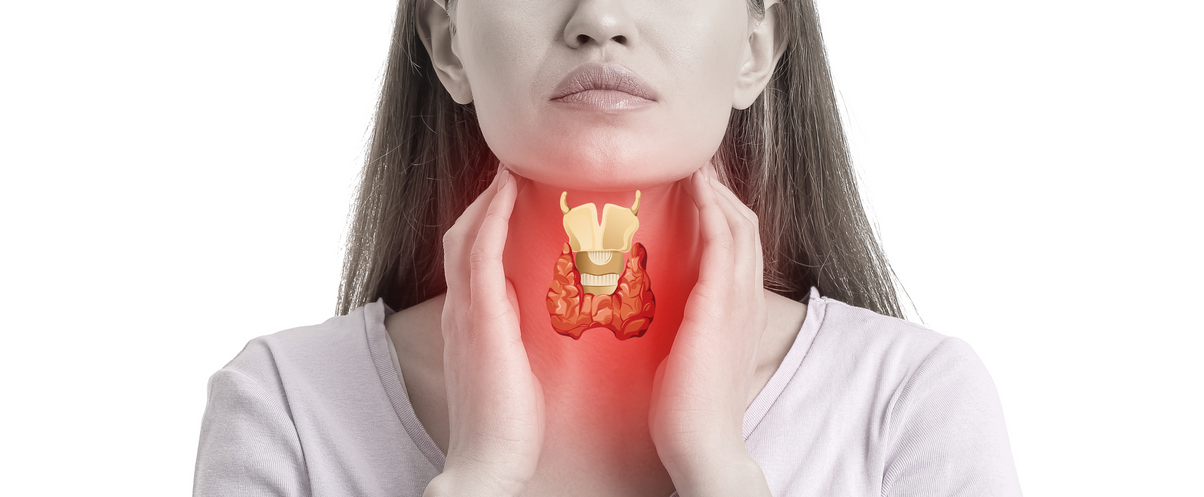 ​Importance of Thyroid and Adrenal Health​