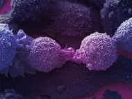 Understanding Cancer: Turn it On or Turn it Off