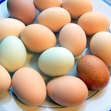 Eggs
