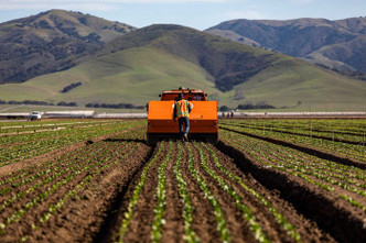 Industrial Agriculture is Killing Our Soils