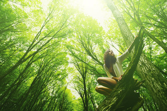 Shinrin-yoku (Forest Bathing)