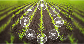 Supplementation Strategies: Enhancing Modern Diets Supplementation Strategies: Enhancing Modern Diets