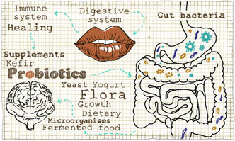 Probiotics—Key to a Strong Immune System