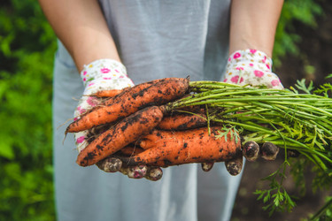 Discover Carotene: The Secret to Beautiful Skin