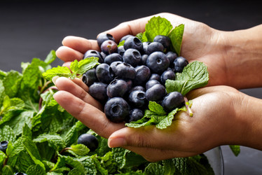 Why You Probably Need More Antioxidants
