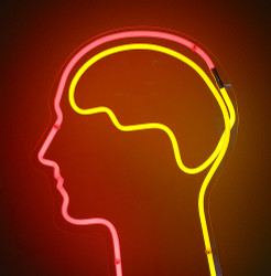 Unlock Your Potential Acetyl-L-Carnitine - Brain Superfuel!