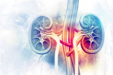 Acidosis, the Neglected “Silent Killer”