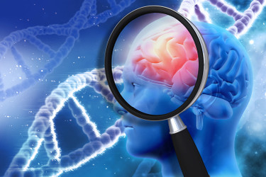 Alzheimer’s: Preventable and Reversible