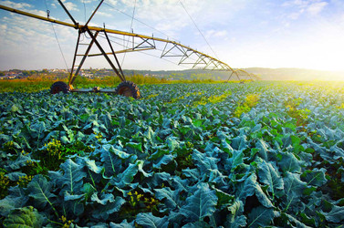 Our Broken Food System