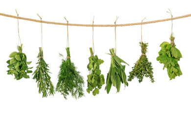 Herbal Nutrition for a Healthy Prostate