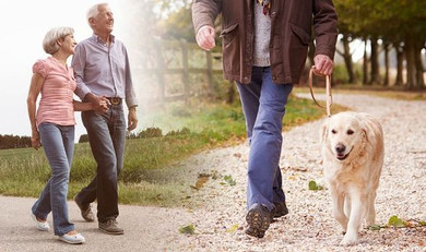 Live Longer and Better with Fish Oil