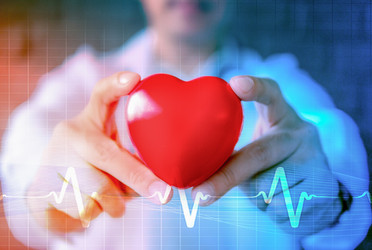 Quercetin and Cardiovascular Disease