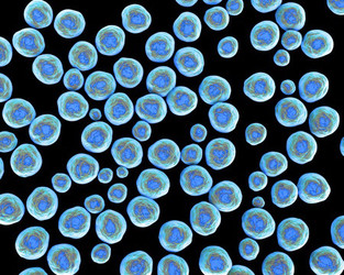 Superbugs: What are they? How can you avoid getting infected by one?  