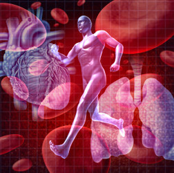 What is Cardiovascular Fitness?