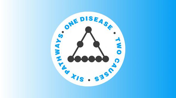 Unlocking the Power of "1 Disease, 2 Causes, 6 Pathways" for Optimal Health