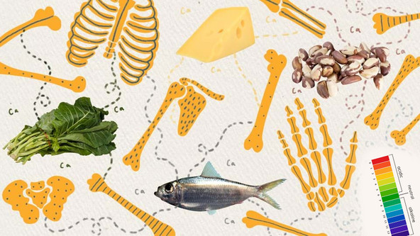 A Diet for Healthy Bones