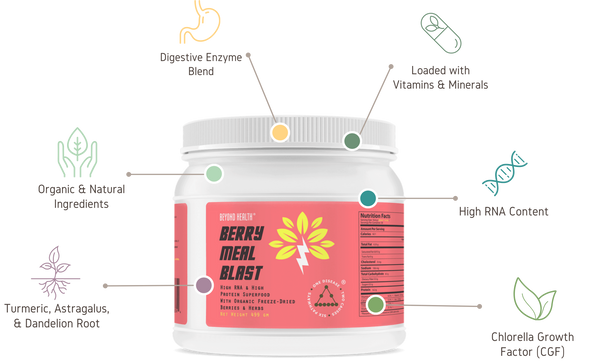 Berry Meal Blast: A Superfood for Total Body Health