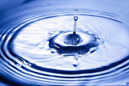 Are You Overlooking Contaminated Water as a “Food Toxin”?