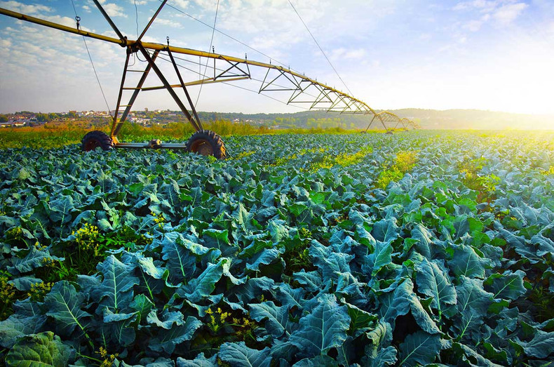 Our Broken Food System
