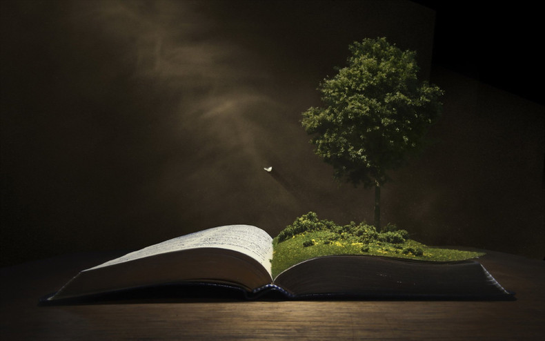 Discover the Benefits of Going 'Beyond Health'