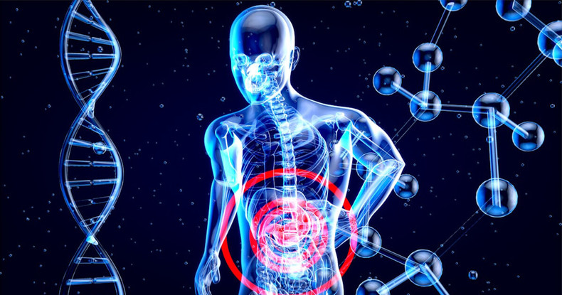 Don't Abuse Your Liver! Essential Tips for Health