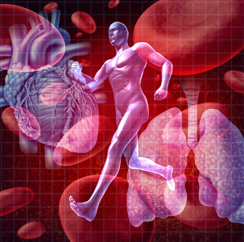 What is Cardiovascular Fitness?